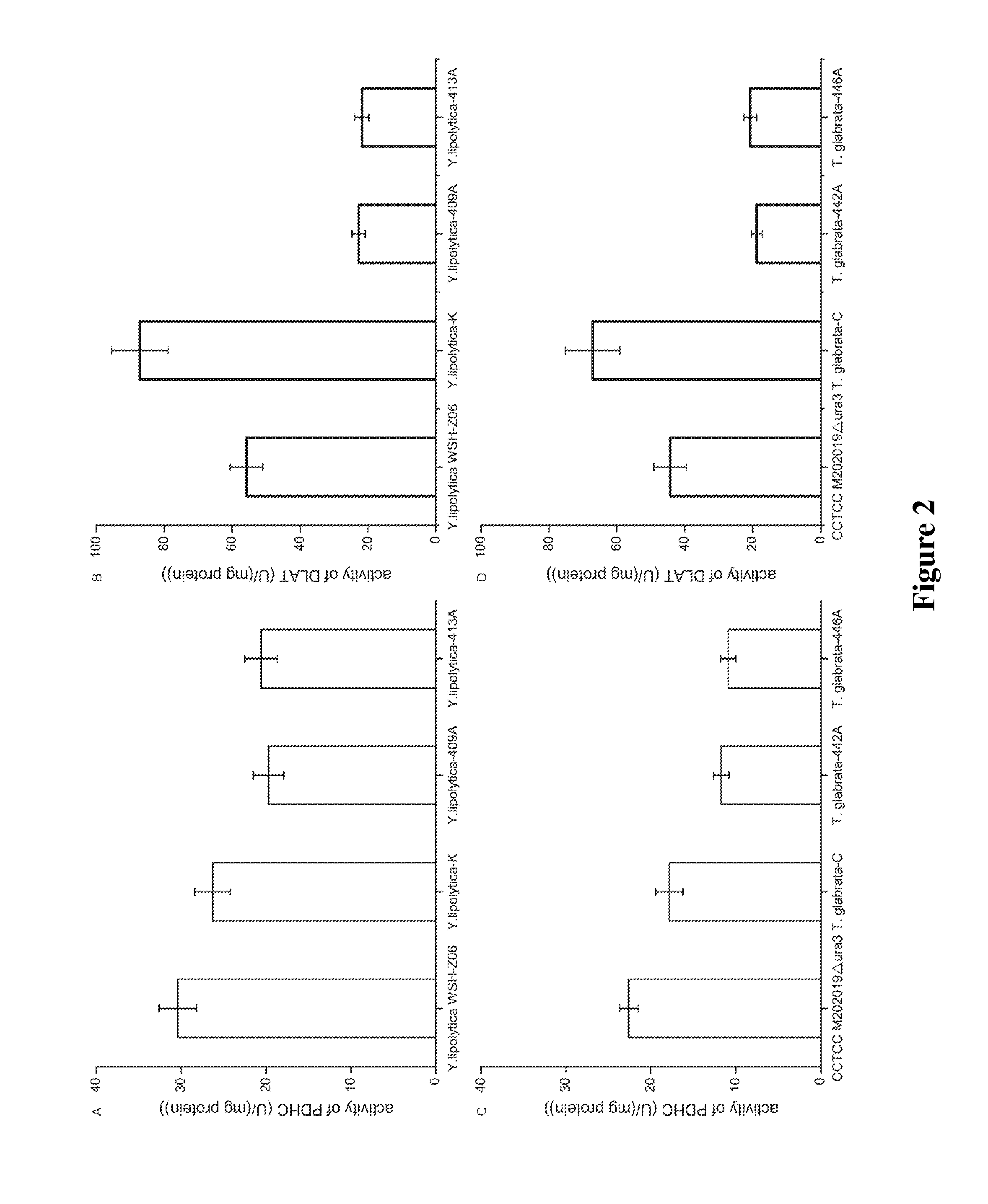 Method for Decreasing Pyruvate Catabolism and Increasing the Accumulation of Pyruvate in Microbes