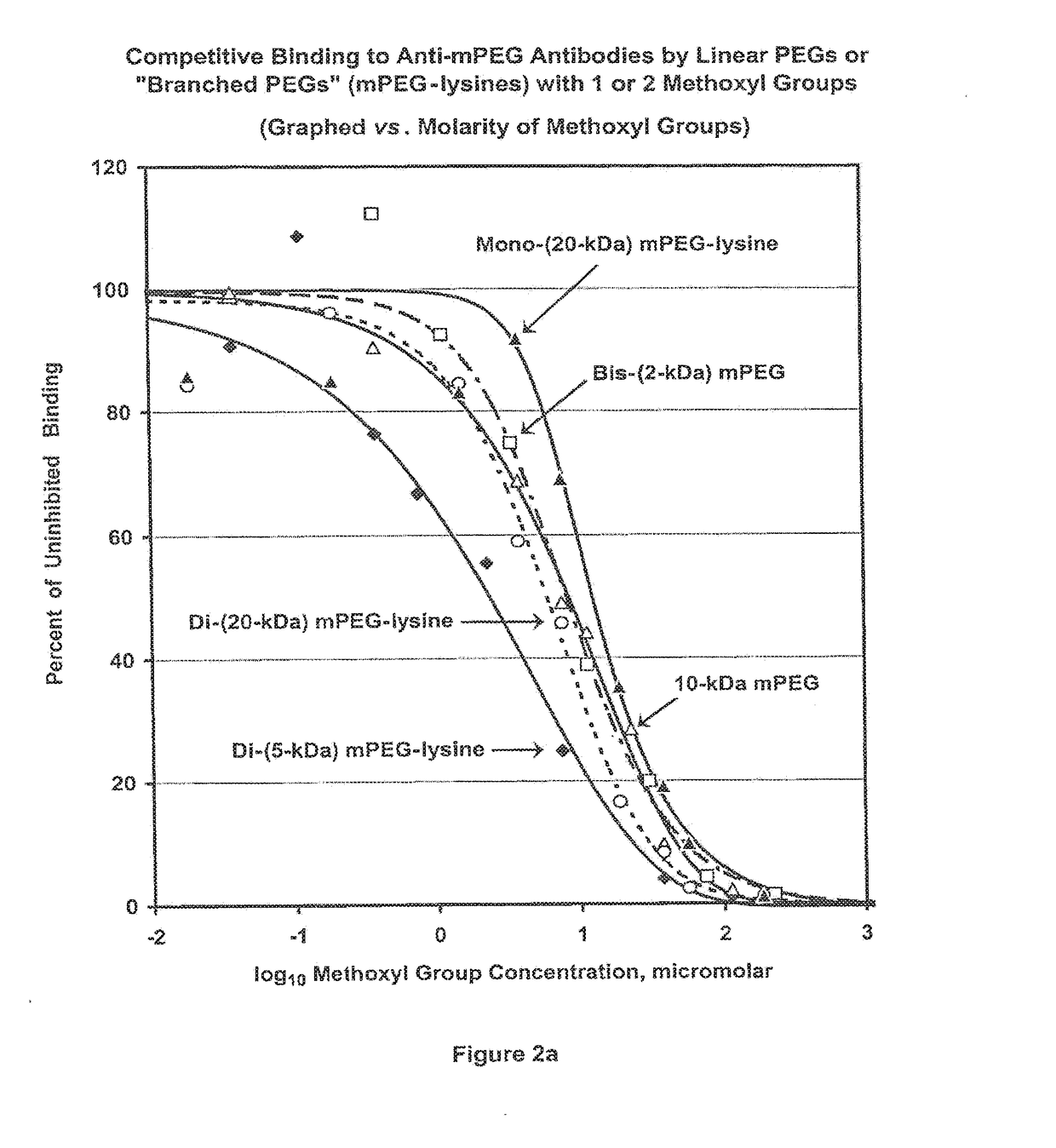 Polymer conjugates with decreased antigenicity, methods of preparation and uses thereof