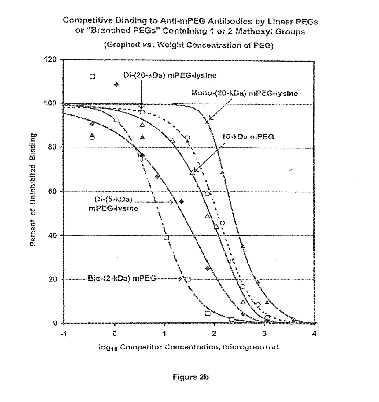 Polymer conjugates with decreased antigenicity, methods of preparation and uses thereof