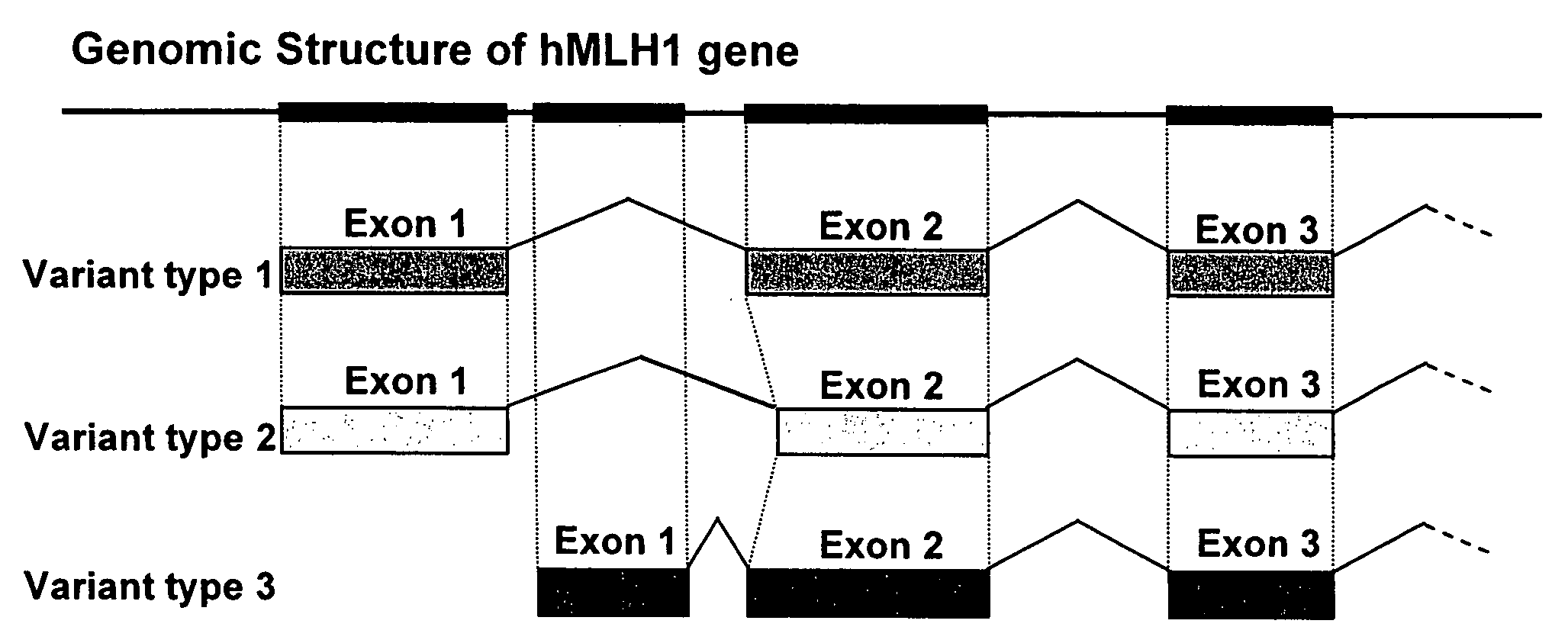 Method and kit for detection of microsatellite instability-positive cell