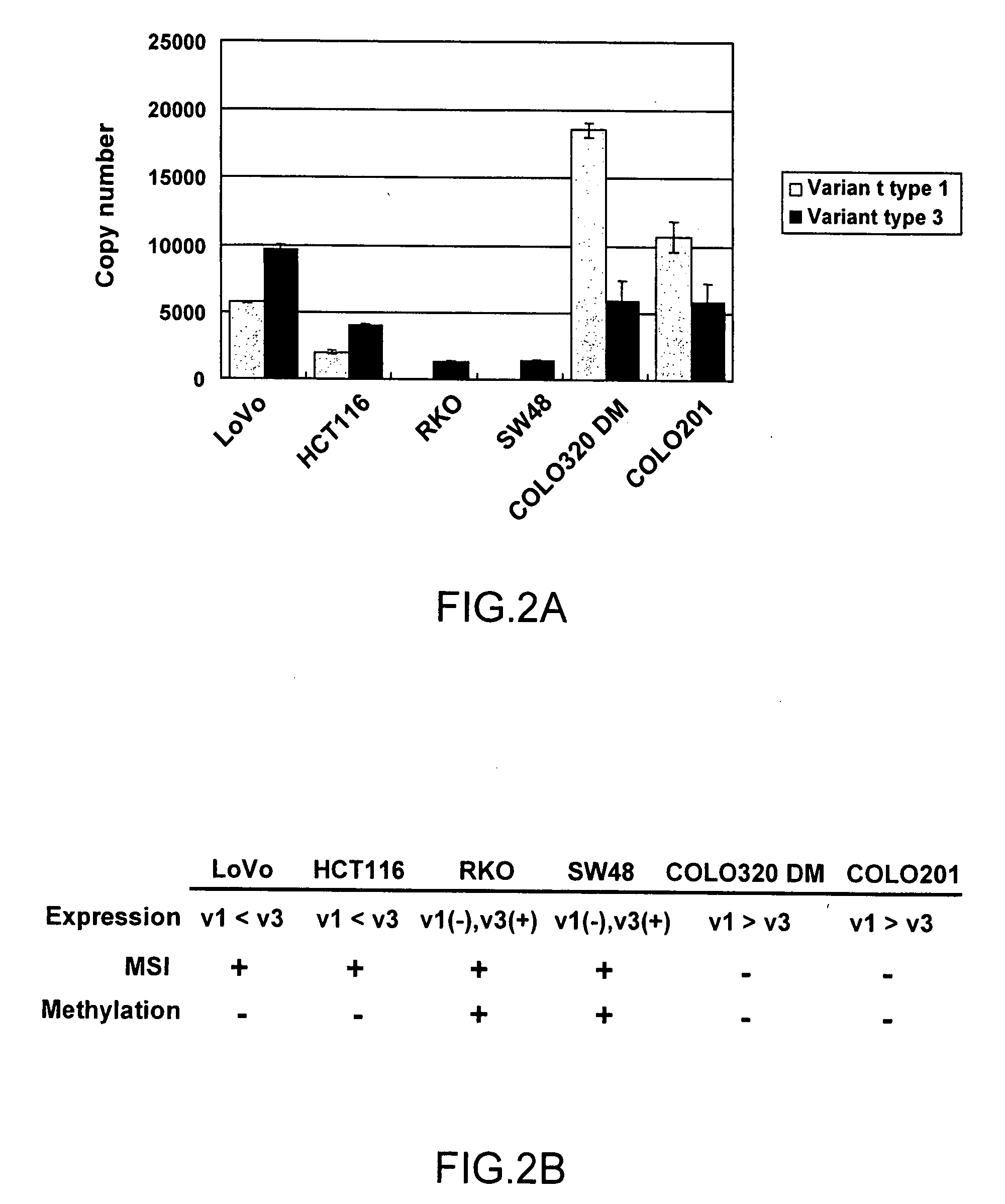 Method and kit for detection of microsatellite instability-positive cell