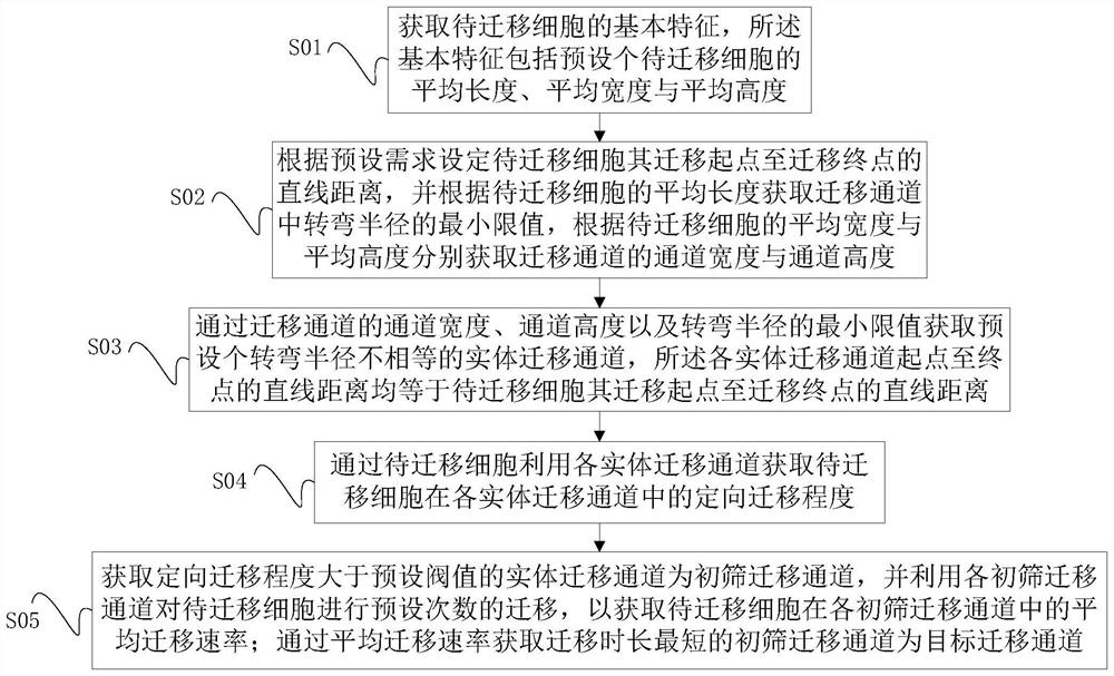 Migration channel acquisition method and system for directional movement of cells