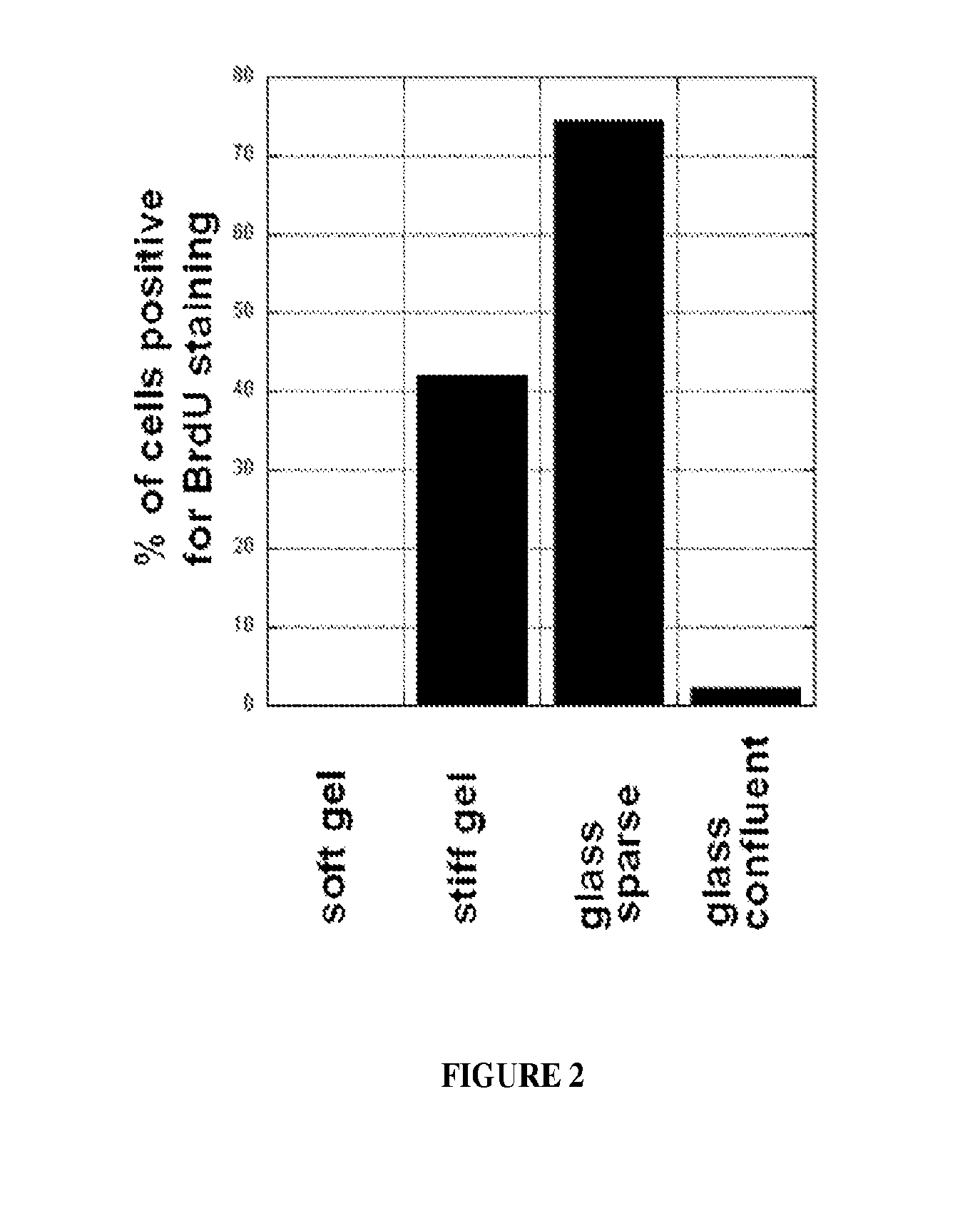 Low rigidity gels for MSC growth modulation