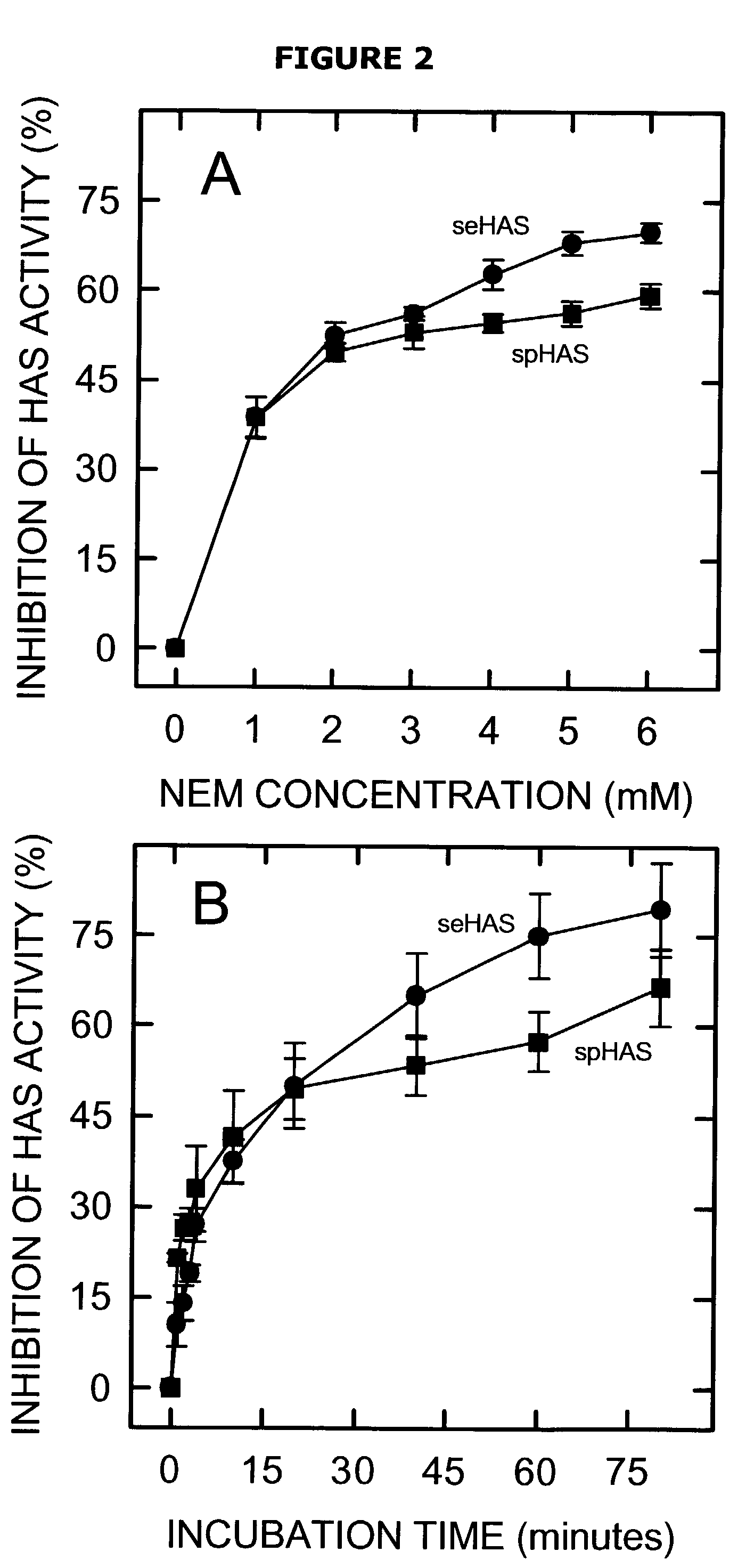 Hyaluronan synthases and methods of making and using same