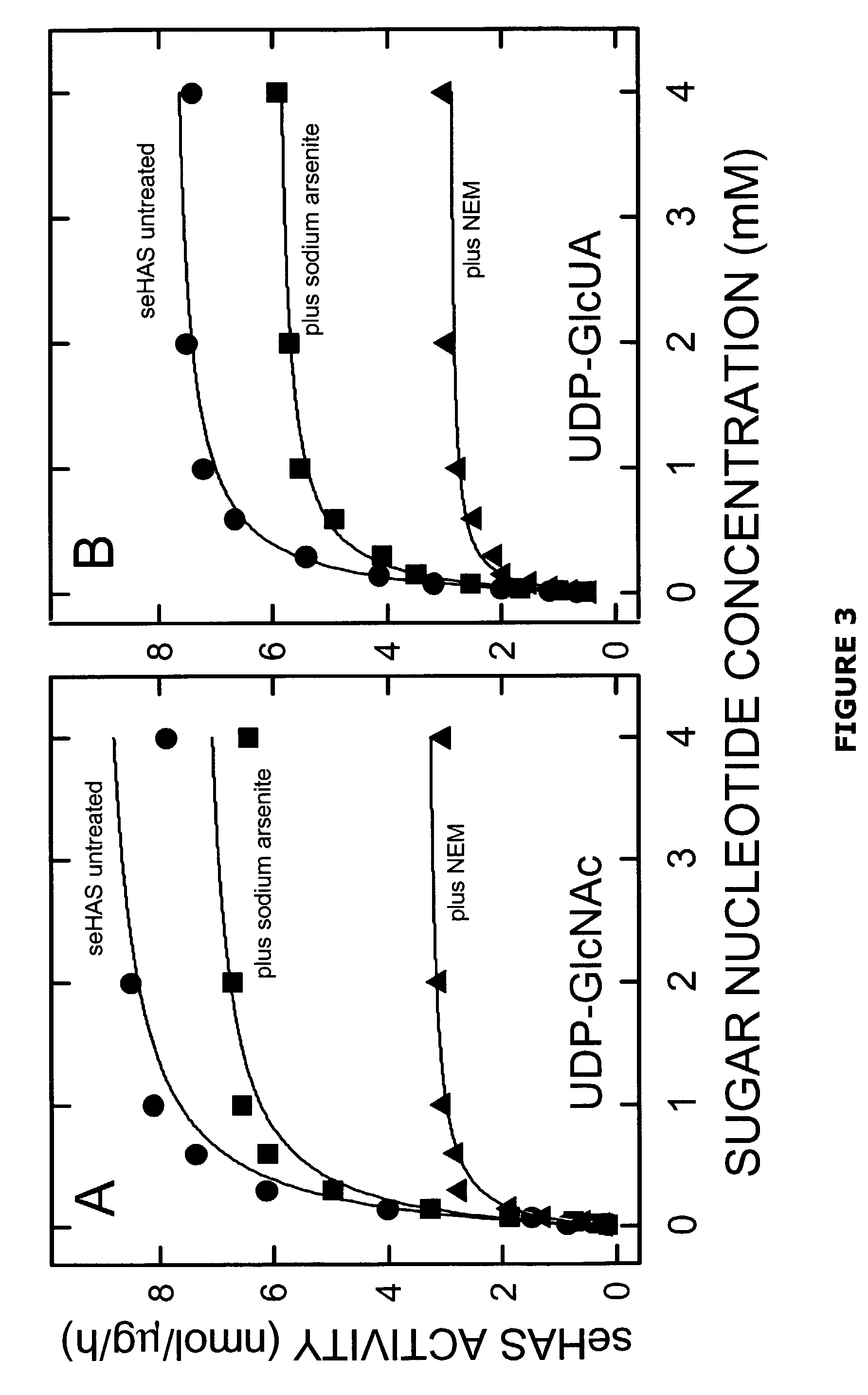 Hyaluronan synthases and methods of making and using same