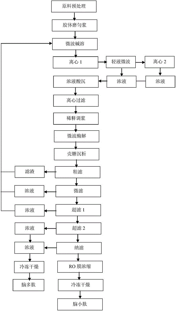 Method for preparing brain polypeptide and brain small-molecule peptide by means of pig brain protein through enzymolysis