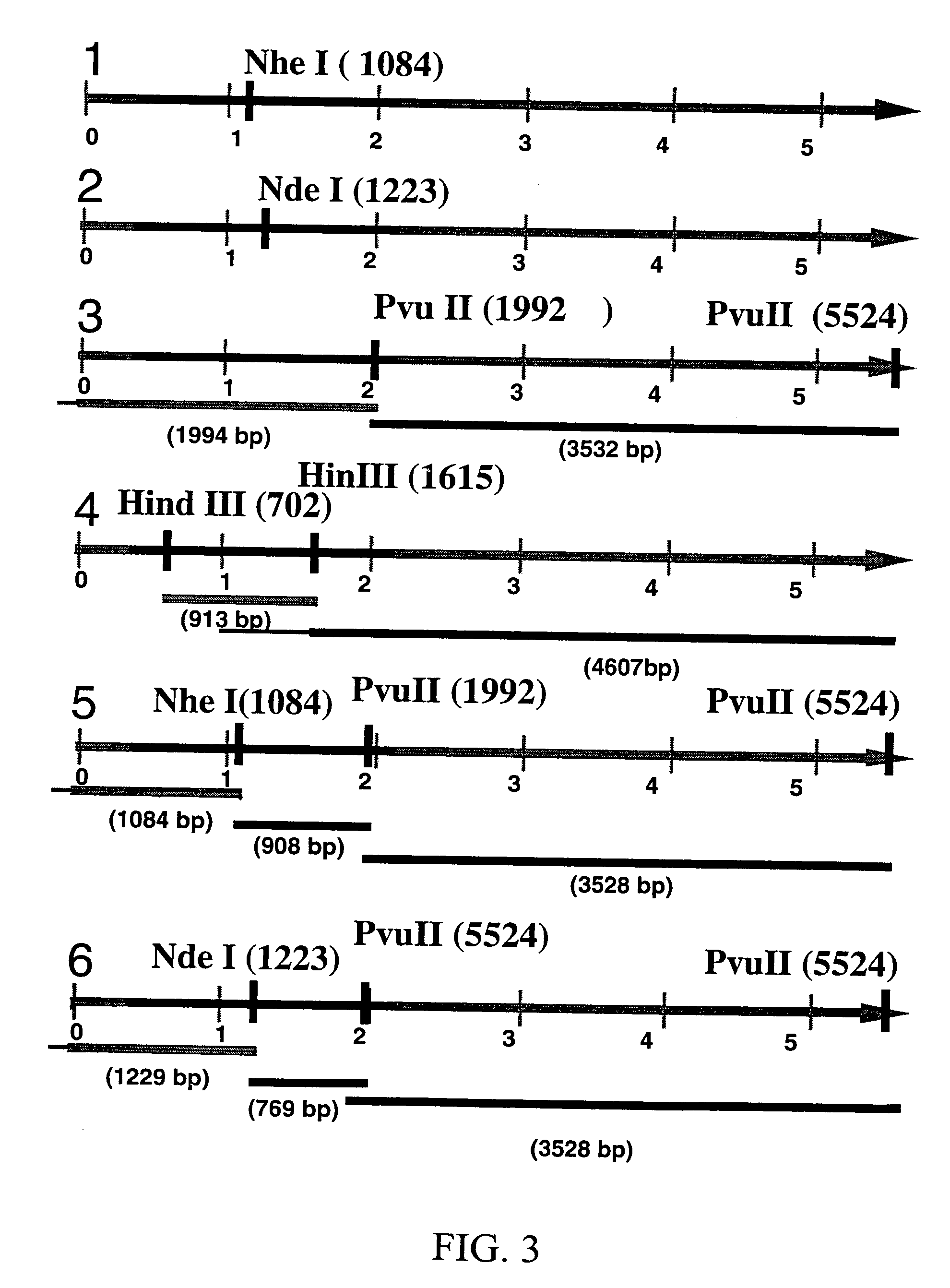 Materials and methods for treating oncological disease