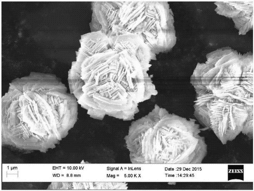 A kind of preparation method of cauliflower-shaped calcium sulfite particles