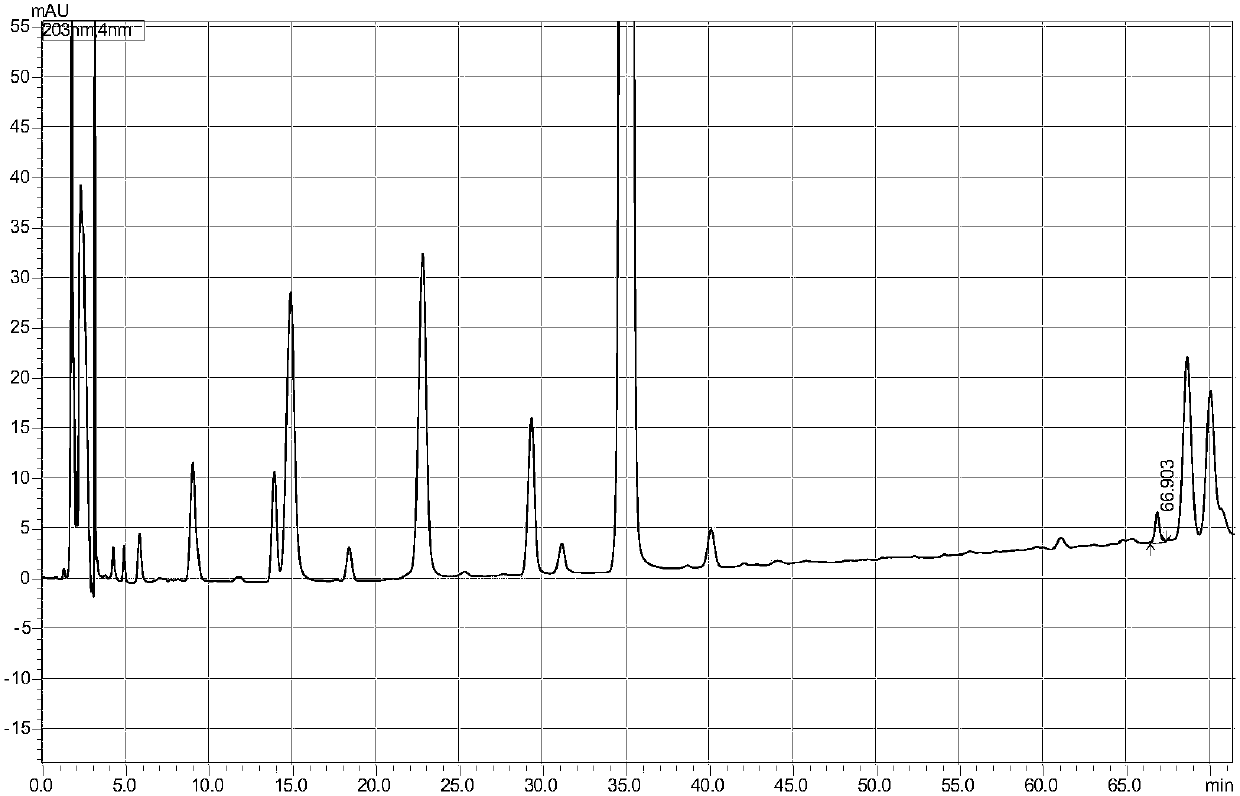 Compound skin cream for treating chloasma, preparation method and application