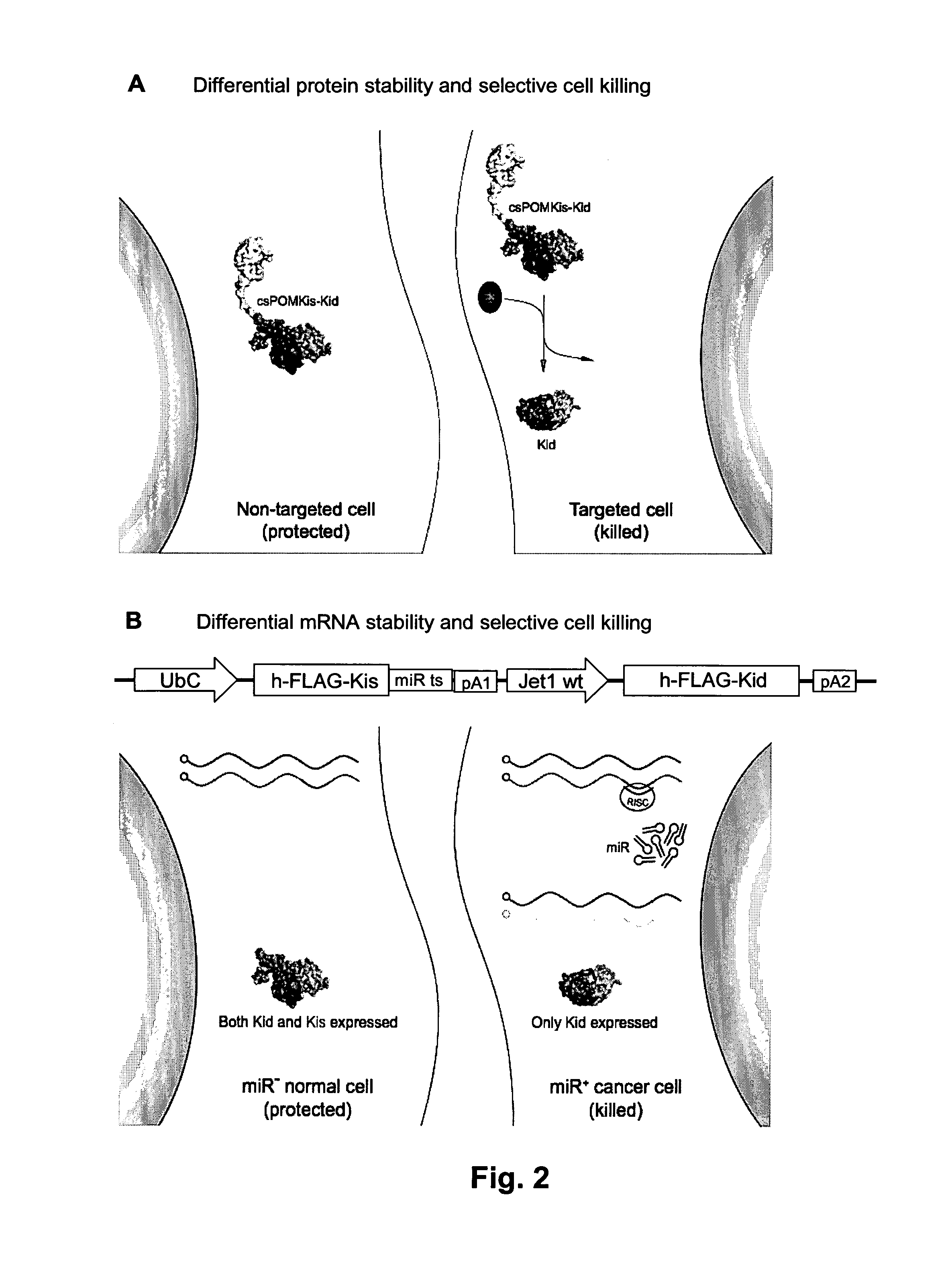 Systems and methods for diminishing cell growth and inducing selective killing of target cells