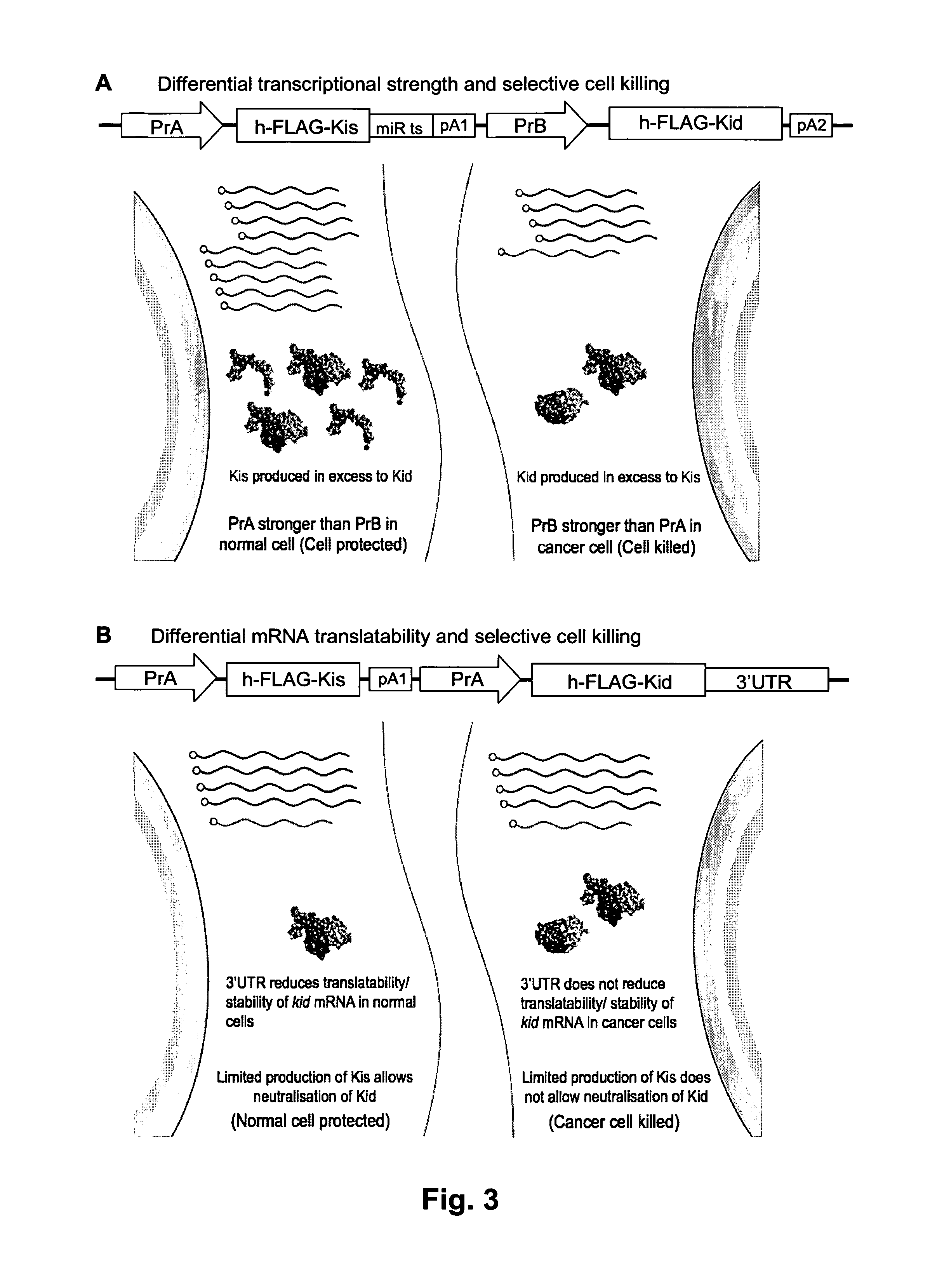 Systems and methods for diminishing cell growth and inducing selective killing of target cells