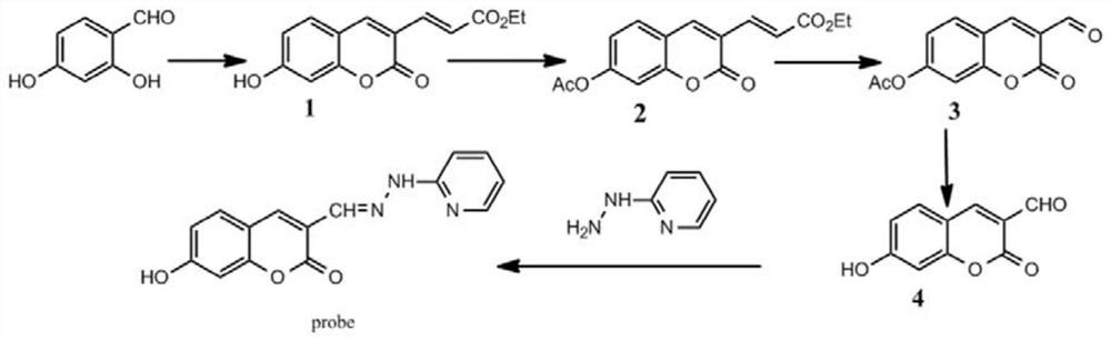 Preparation method and application of a multifunctional ultrasensitive zn2+ two-photon detection fluorescent molecular probe