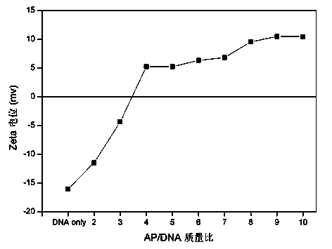 Cationization silk fibroin and preparation method thereof