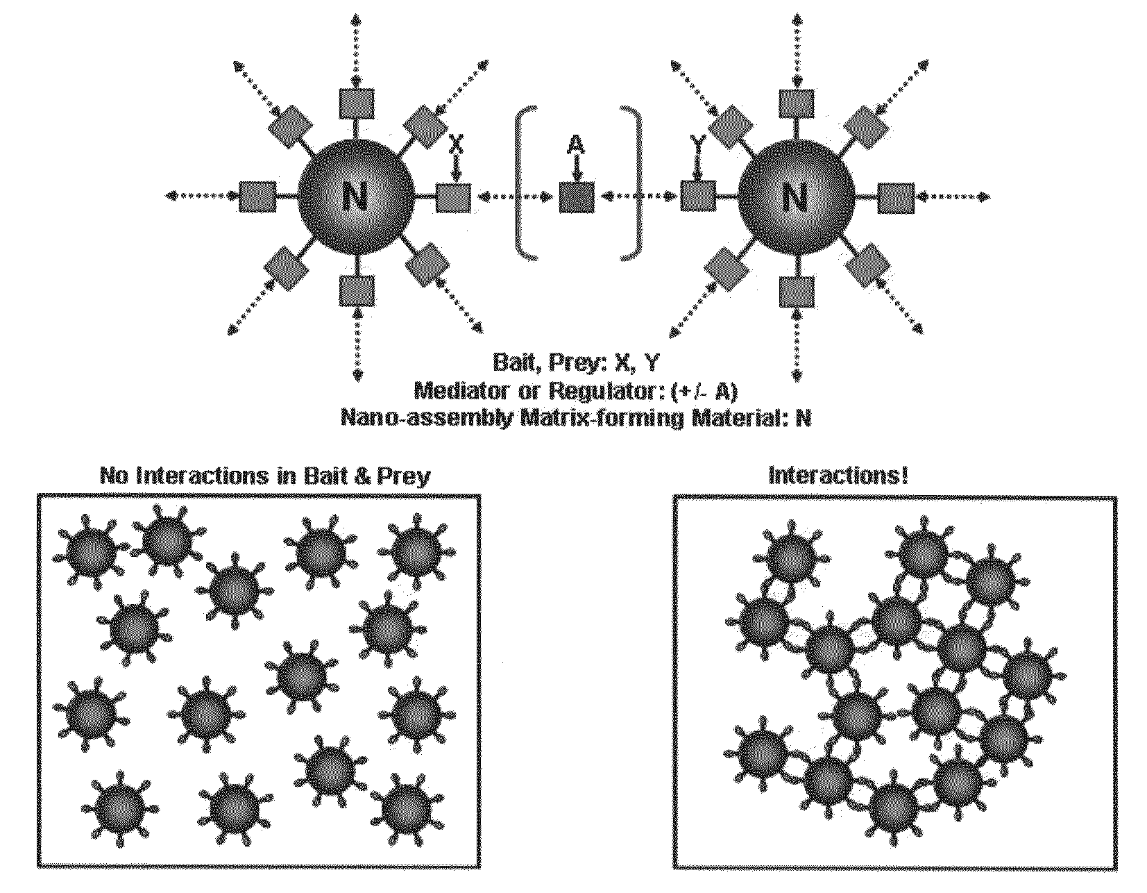 The methods for detecting molecular interactions