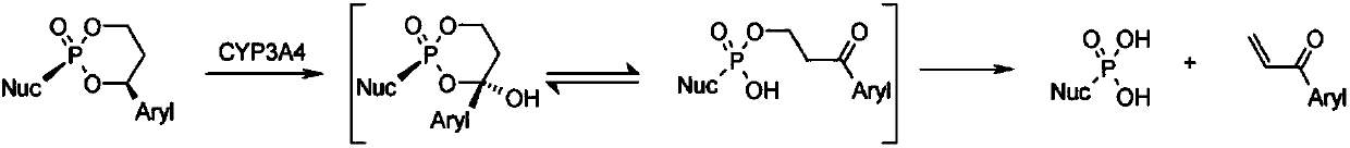 Novel cyclophosphate for the treatment of hcv infection