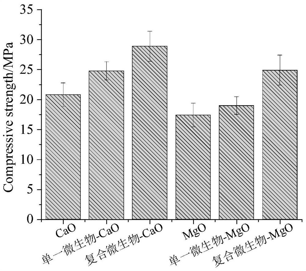 Method for preparing building material by complex microorganism mineralization