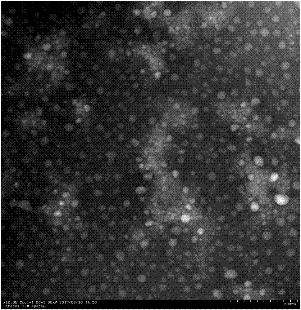 Active peptide embedded nanoparticle and preparation method thereof