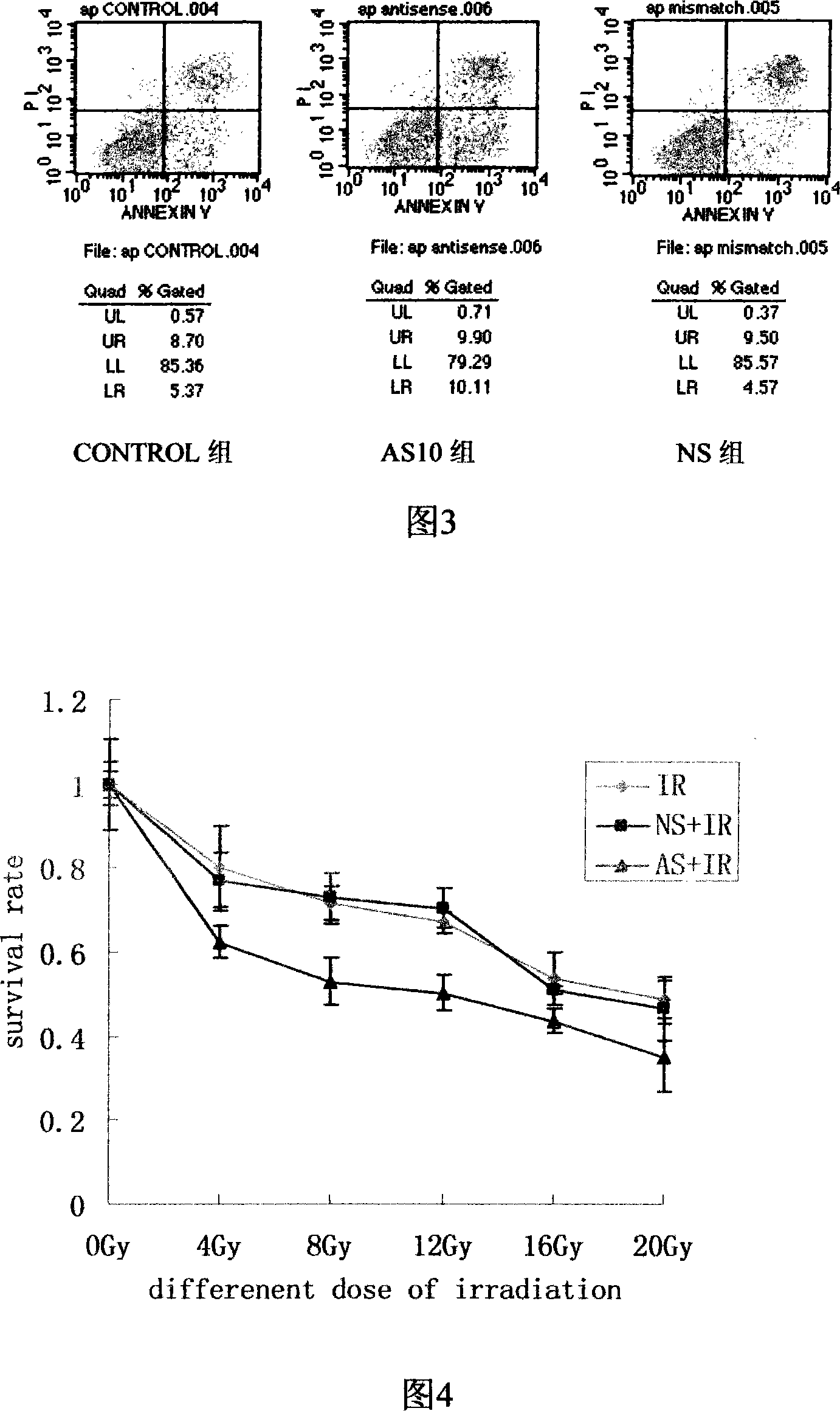 Antisense STAT3 oligonucleotide and uses thereof