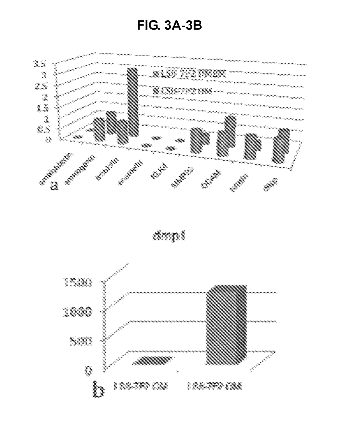 Production of dentin, cementum and enamel by cells