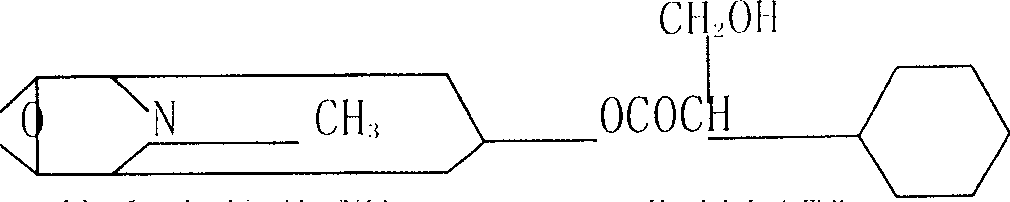 Biological pesticide composition and its preparation method and use