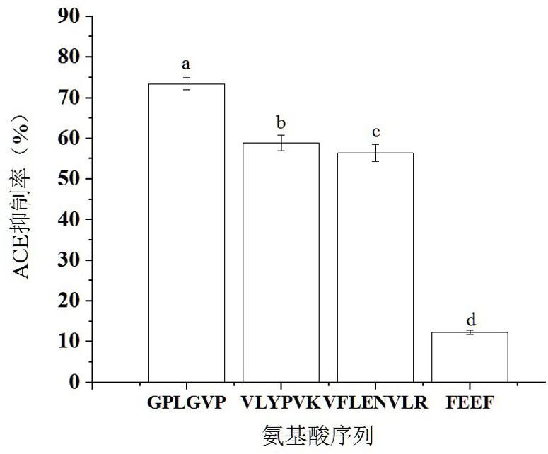 ACE inhibitory peptide as well as synthesis method and application thereof