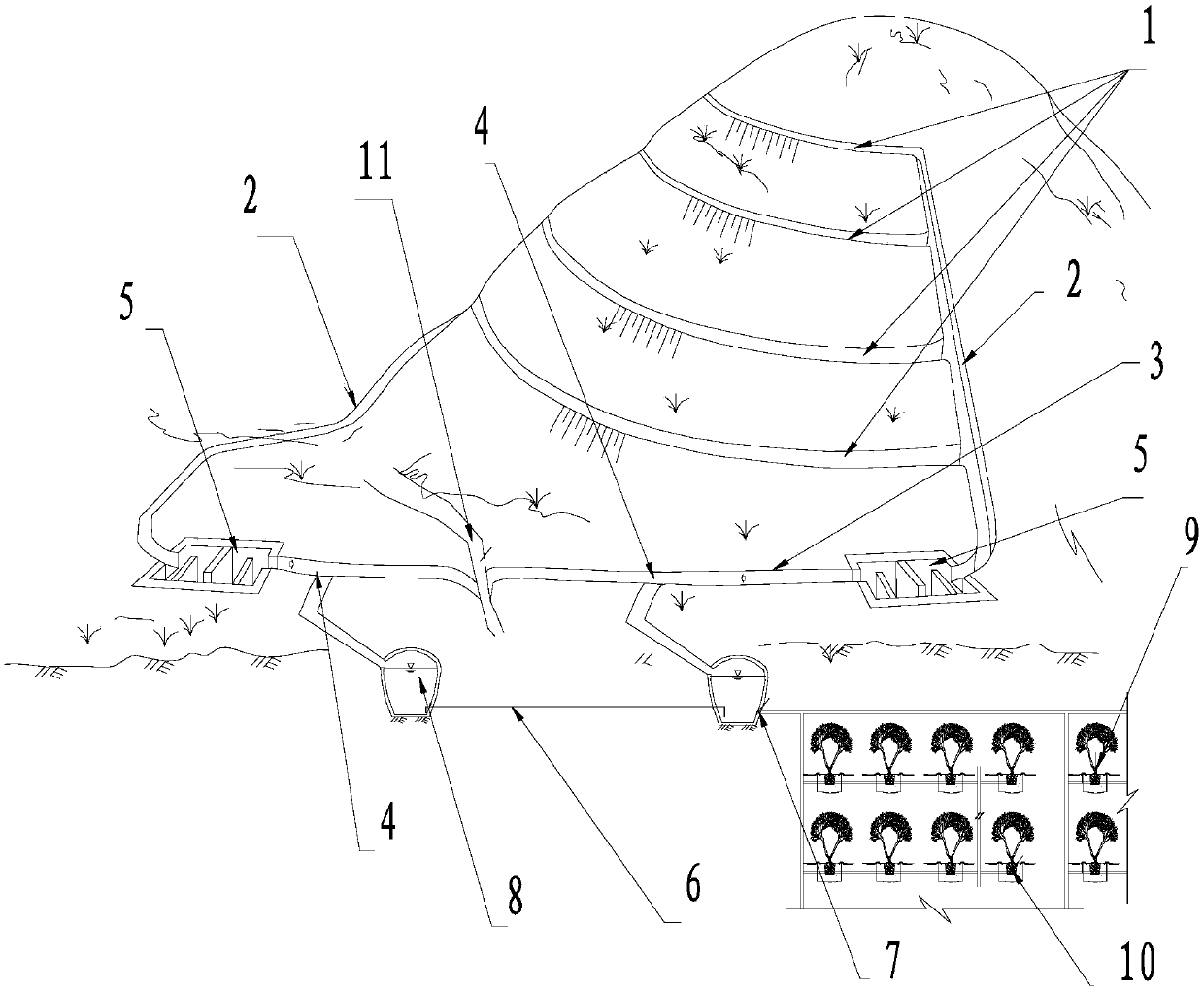 Arid area arbor integrated irrigation system