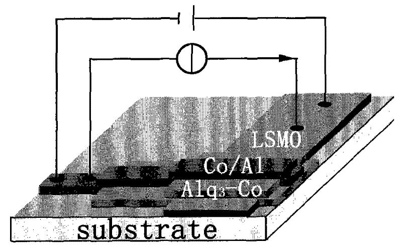 Nano-composite organic spin valve