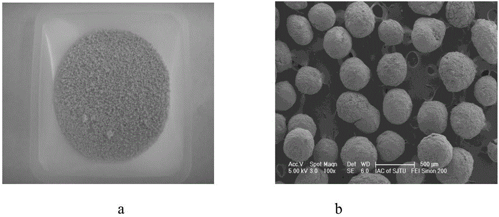 A kind of high-speed selective cesium adsorption resin material and its preparation method and application