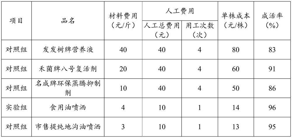 Application of grease in promoting transplanting survival and growth of evergreen big trees