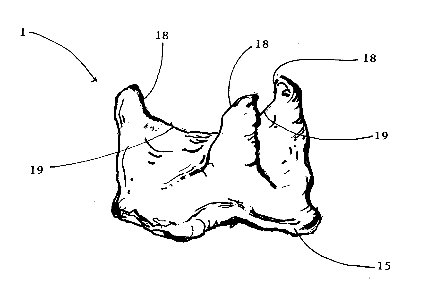 Pericardial heart valve replacement and methods of constructing the same