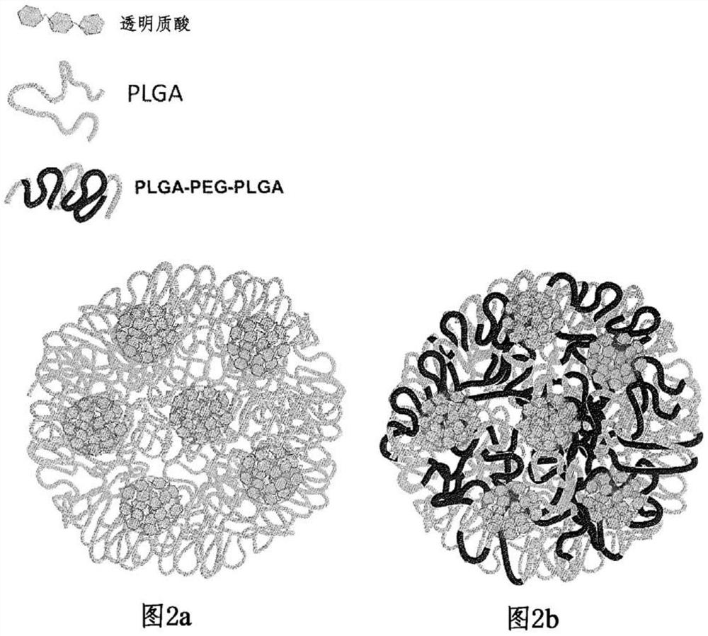 Continuous release composition made of hyaluronic acid and its therapeutic use