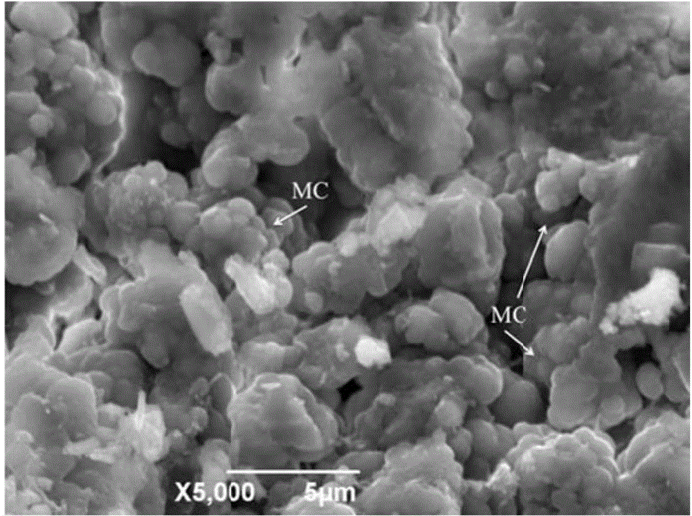 Calcium-magnesium carbonate gel material and preparation method thereof