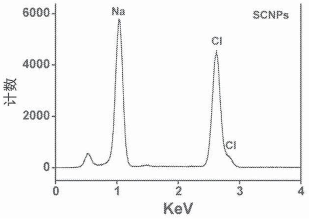 Salt nanoparticles and compositions and methods of use thereof