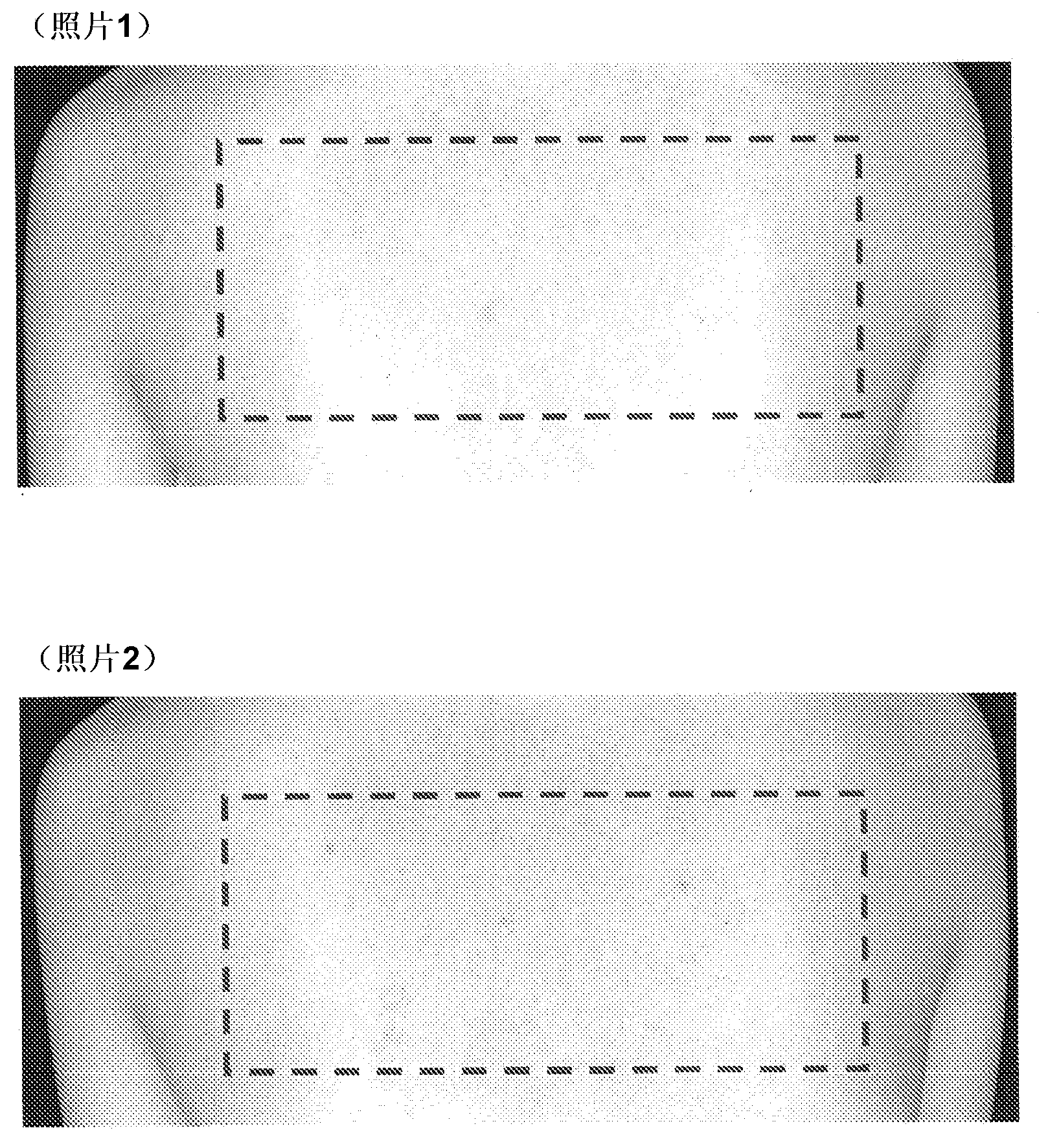 Cleansing composition