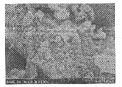 Preparation method of lithium iron phosphate