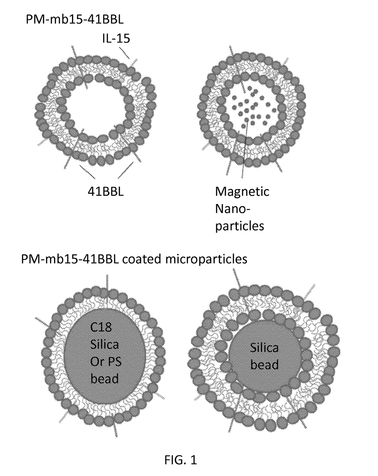 Methods and compositions for natural killer cells