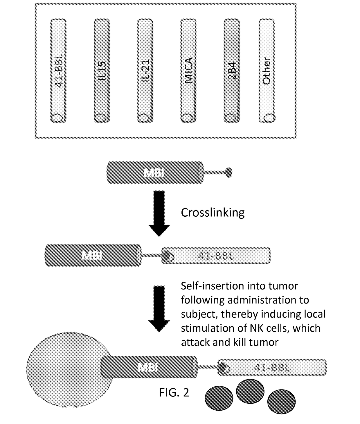 Methods and compositions for natural killer cells