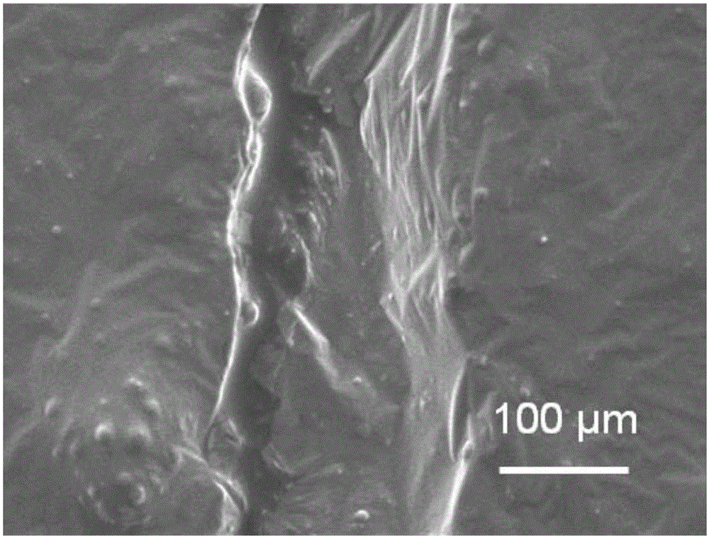 Double-capsule self-repairing epoxy coating and preparation method thereof