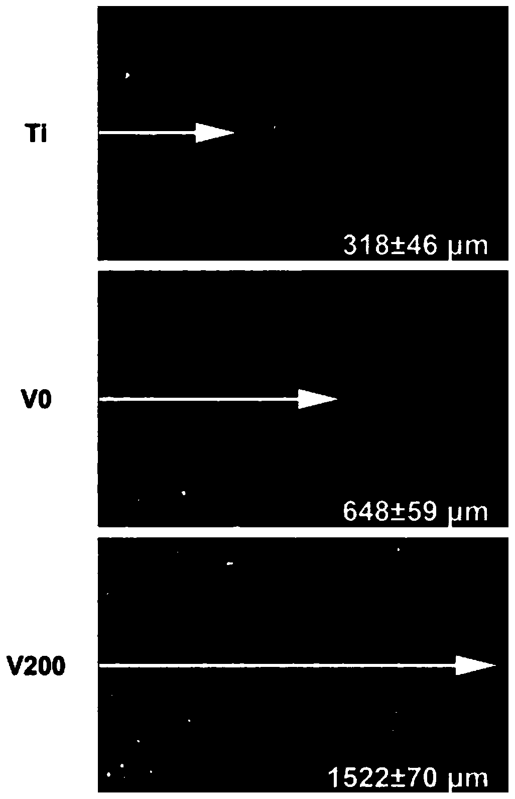 A kind of construction method and application of sema 4D-VEGF coating