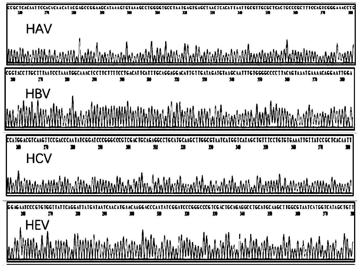 Reagent combination and kit for detecting blood transfusion transmitted pathogens and application