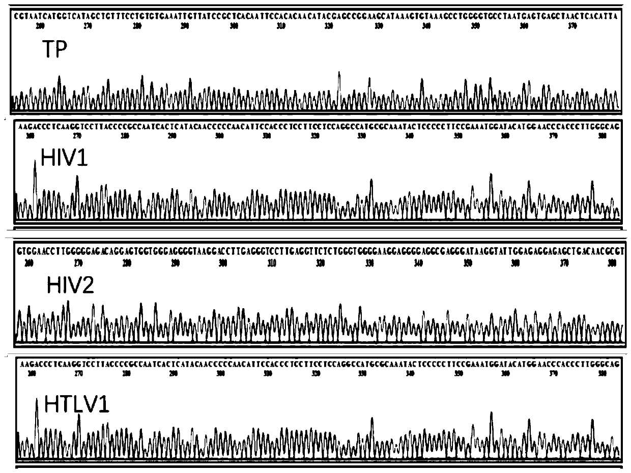 Reagent combination and kit for detecting blood transfusion transmitted pathogens and application