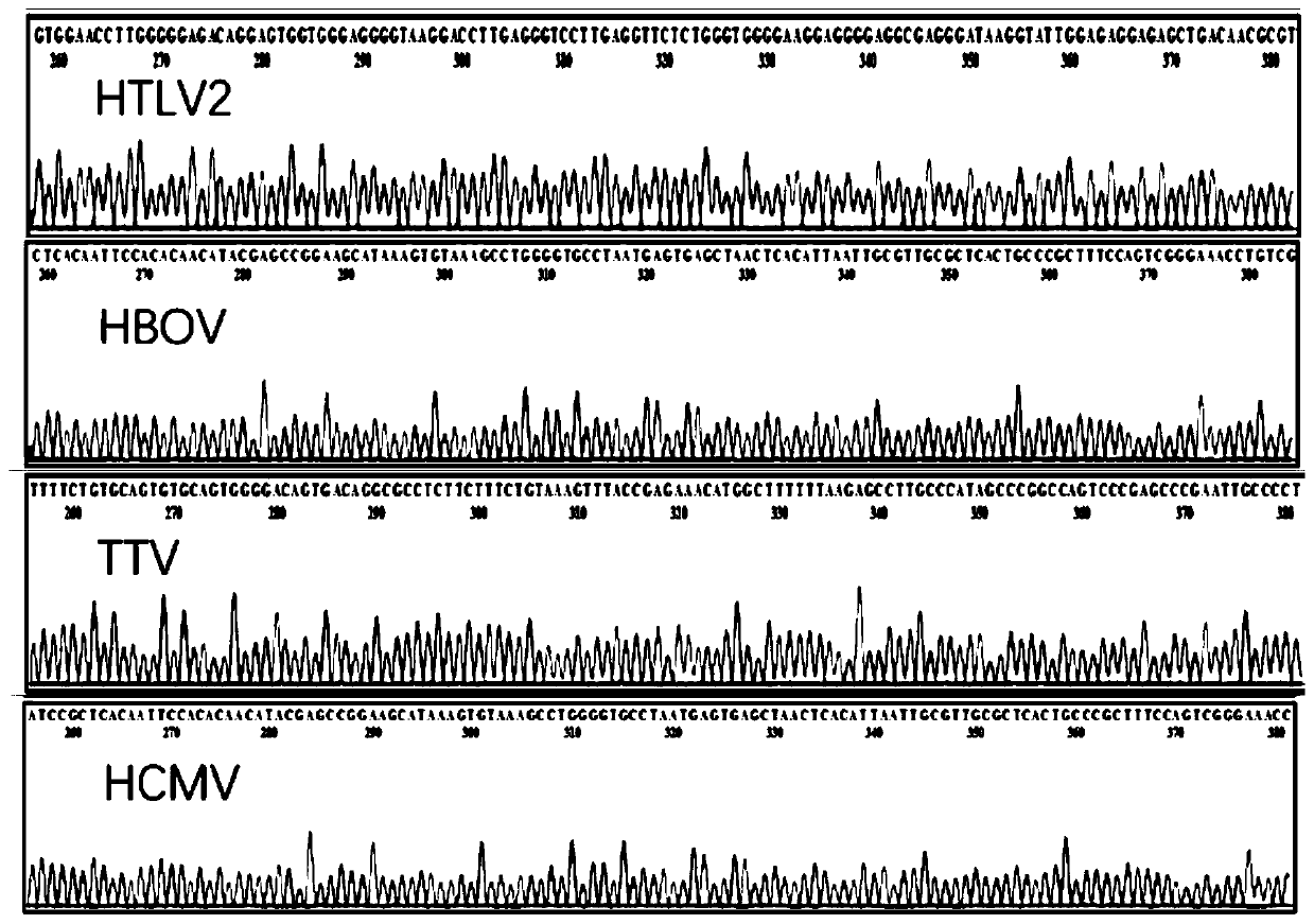 Reagent combination and kit for detecting blood transfusion transmitted pathogens and application