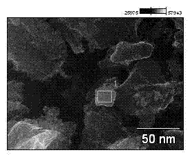 Biomass magnetic carbon material for degrading organic dye