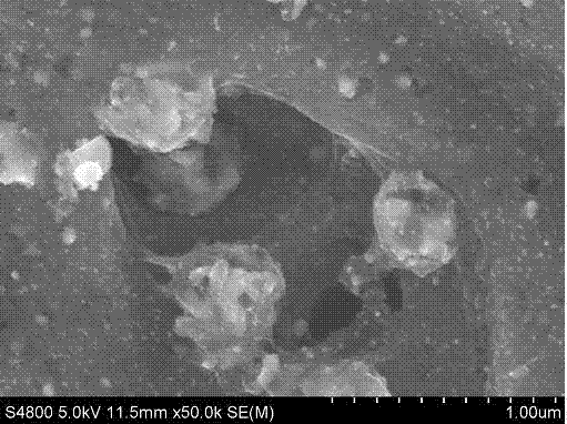 Biomass magnetic carbon material for degrading organic dye