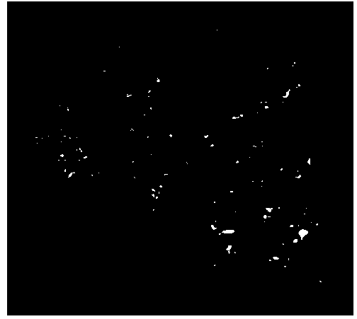 Digestive tract mucosa stain