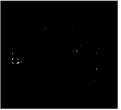 Digestive tract mucosa stain