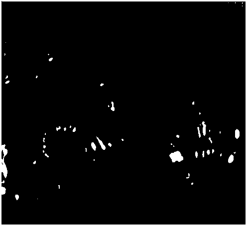 Digestive tract mucosa stain