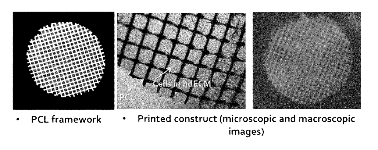 Three-dimensional structure for cardiac muscular tissue regeneration and manufacturing method therefor