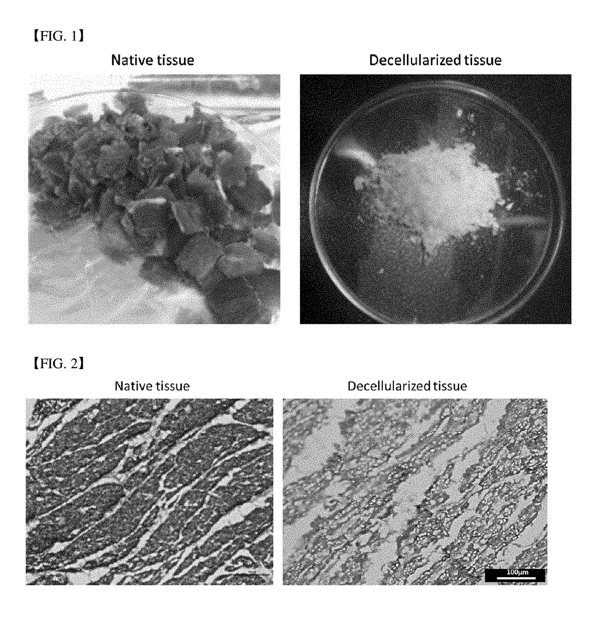 Three-dimensional structure for cardiac muscular tissue regeneration and manufacturing method therefor