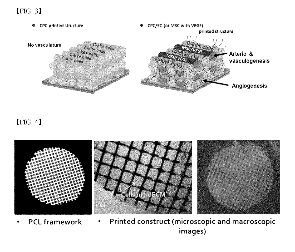 Three-dimensional structure for cardiac muscular tissue regeneration and manufacturing method therefor